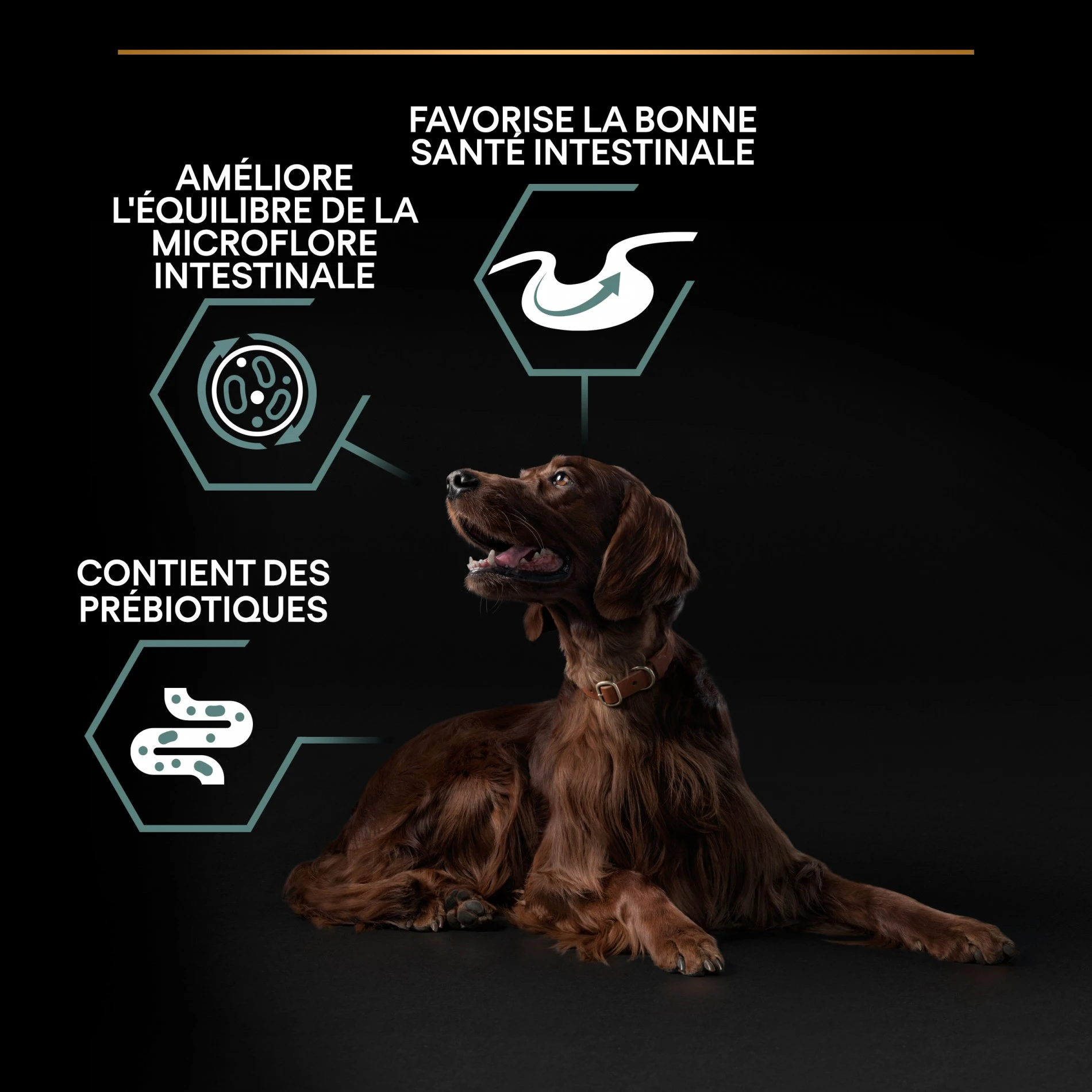 ProPlan PRO PLAN Sensitive Digestion Large Athletic Adult à La Agneau - Croquettes Pour Chien – Image 6