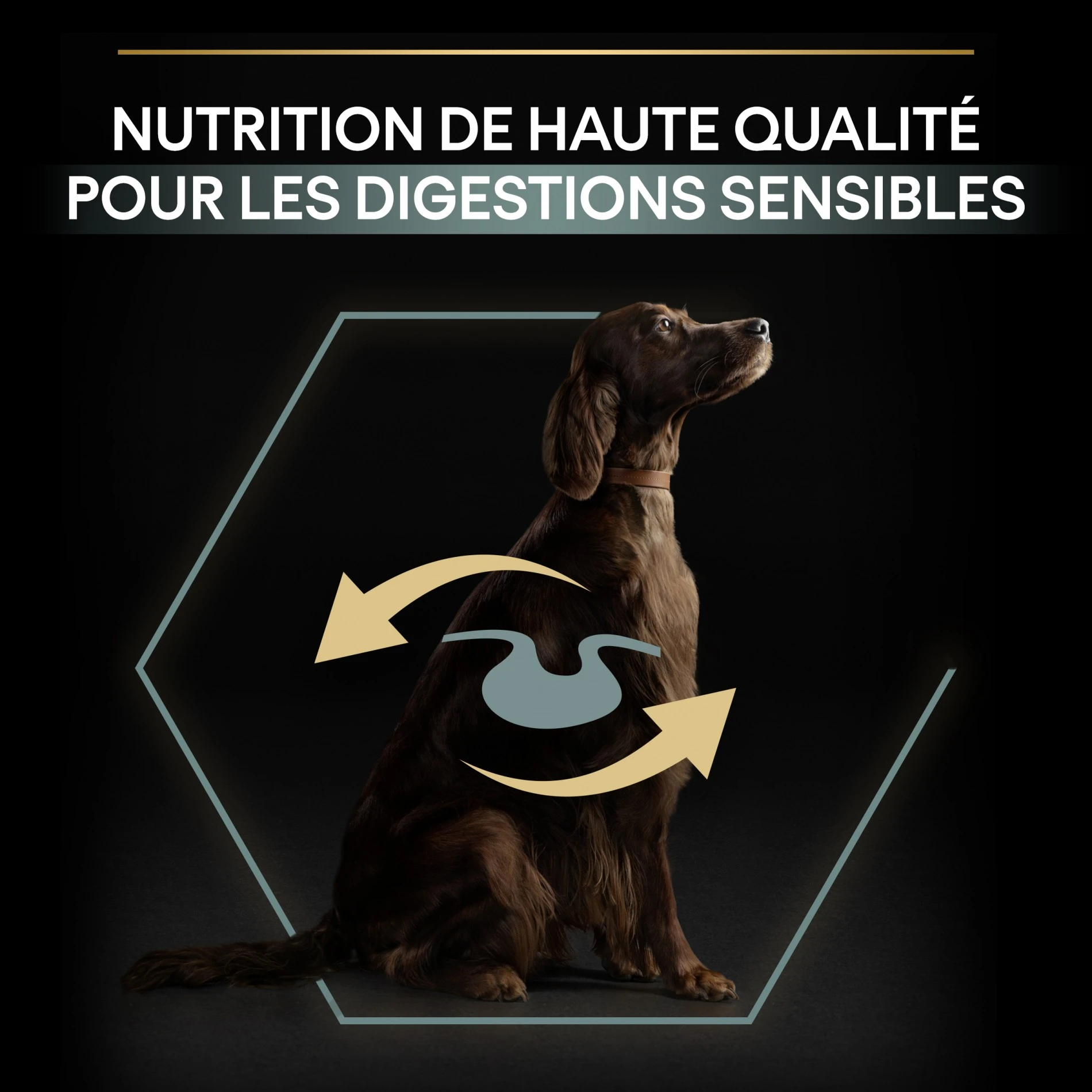 ProPlan PRO PLAN Sensitive Digestion Large Athletic Adult à La Agneau - Croquettes Pour Chien – Image 8