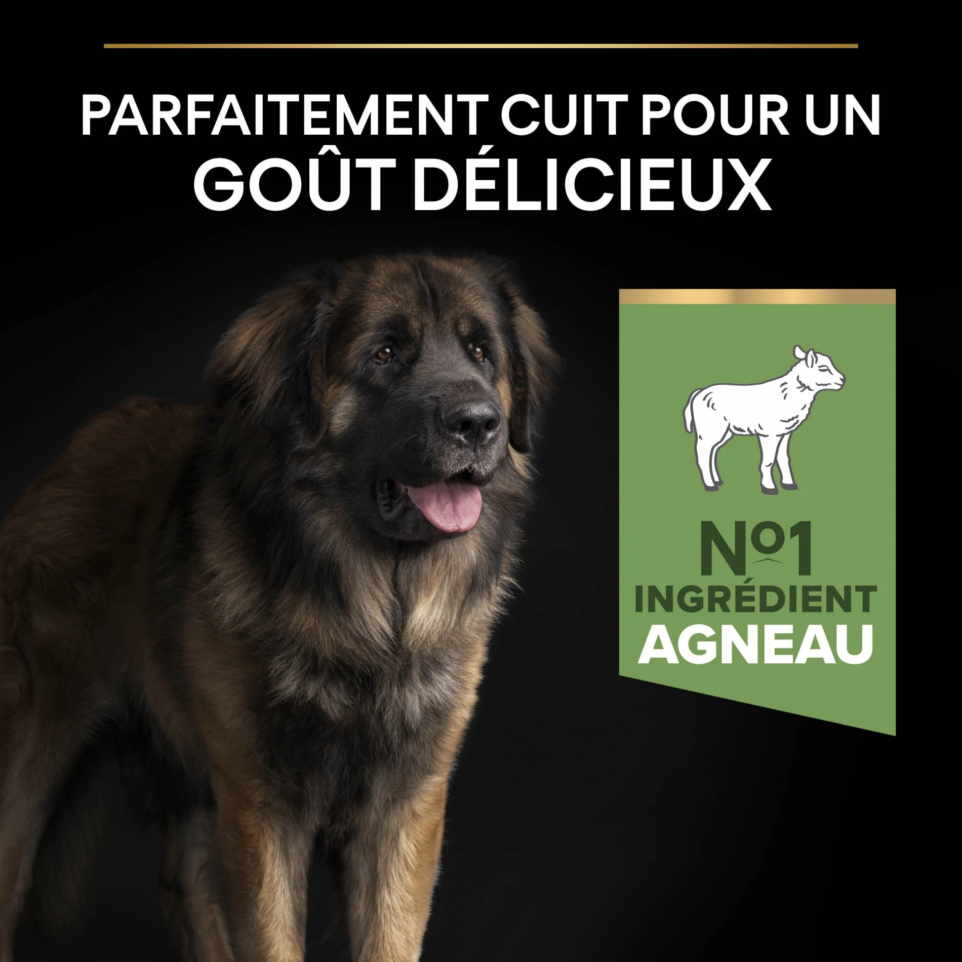 ProPlan PRO PLAN Sensitive Digestion Large Robust Adult à La Agneau - Croquettes Pour Chien – Image 3