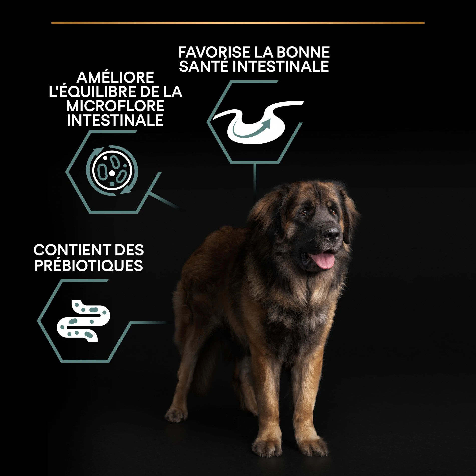 ProPlan PRO PLAN Sensitive Digestion Large Robust Adult à La Agneau - Croquettes Pour Chien – Image 5