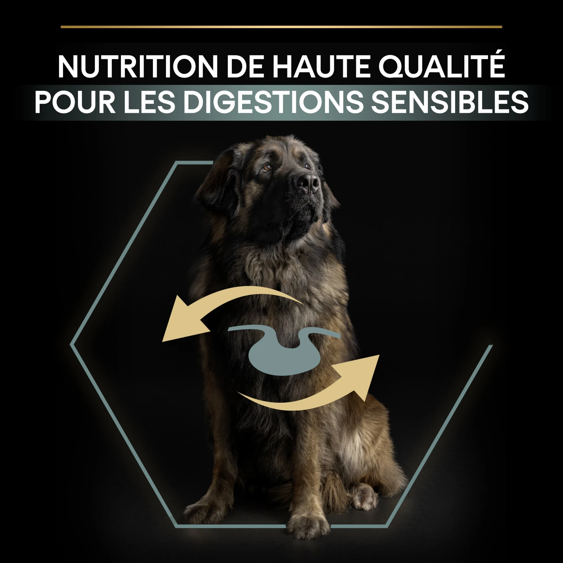 ProPlan PRO PLAN Sensitive Digestion Large Robust Adult à La Agneau - Croquettes Pour Chien – Image 7