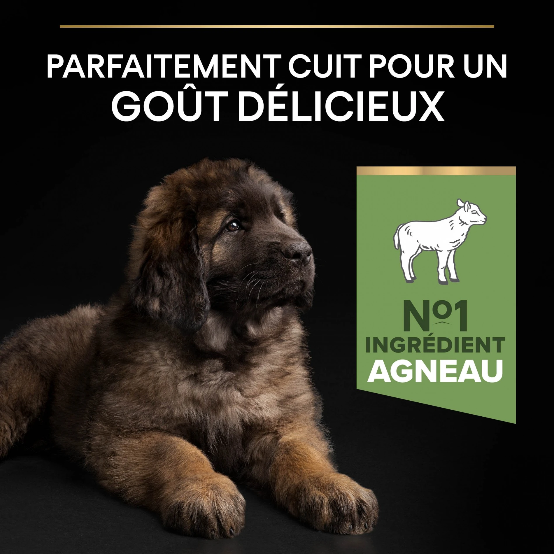 ProPlan PRO PLAN Sensitive Digestion Large Robust Puppy à La Agneau- Croquettes Pour Chien – Image 4