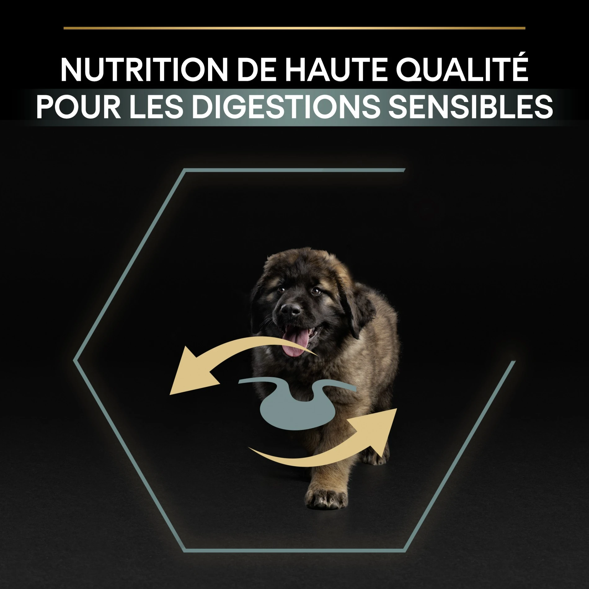 ProPlan PRO PLAN Sensitive Digestion Large Robust Puppy à La Agneau- Croquettes Pour Chien – Image 8