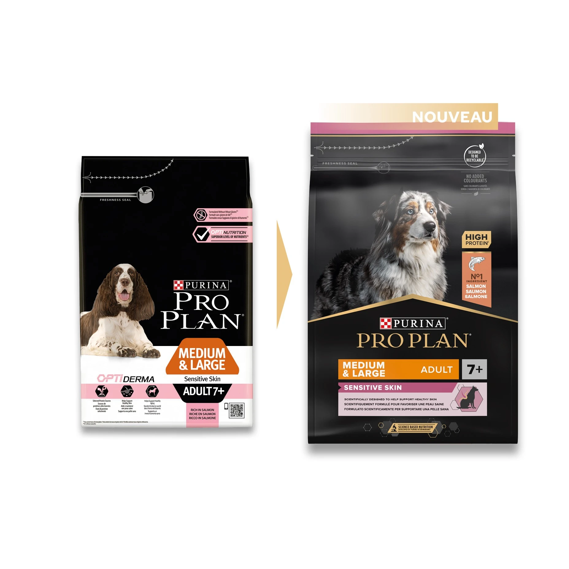ProPlan PRO PLAN Sensitive Skin Medium & Large Adult Au Saumon - Croquettes Pour Chien – Image 4