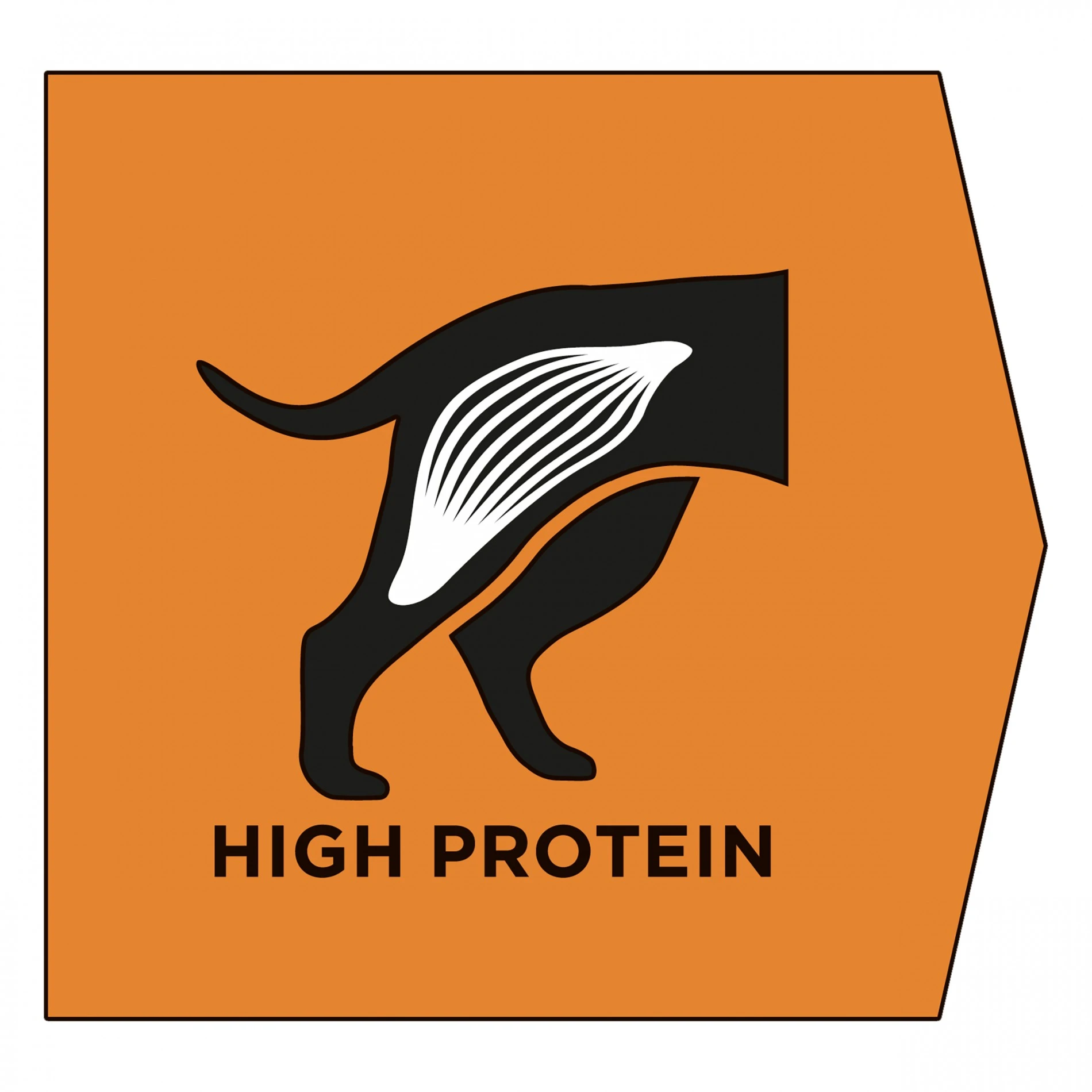 Proplan Veterinary Diets OM Obesity Management – Image 6