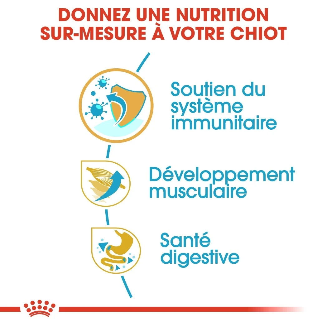 Royal Canin Boxer Puppy - Croquettes Pour Chiot – Image 3