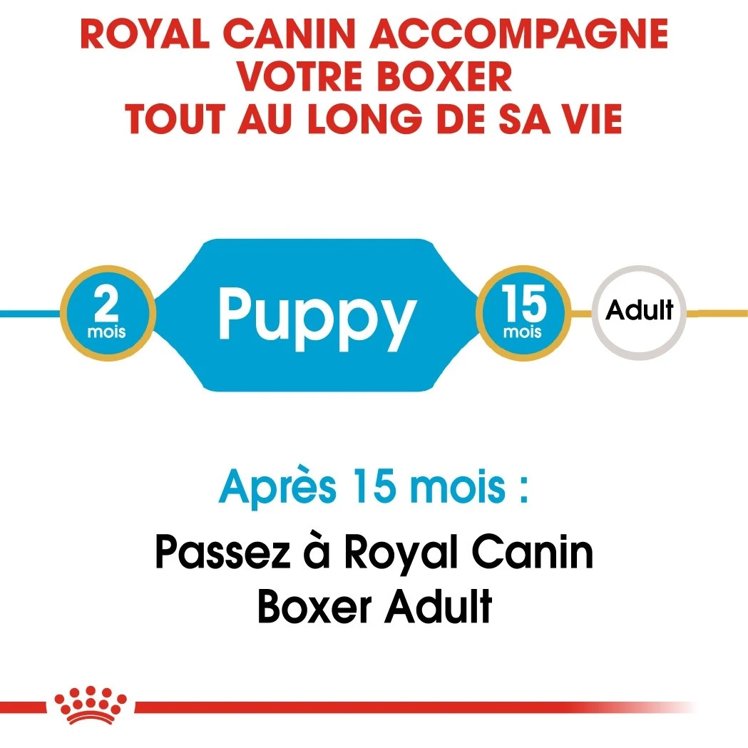 Royal Canin Boxer Puppy - Croquettes Pour Chiot – Image 4