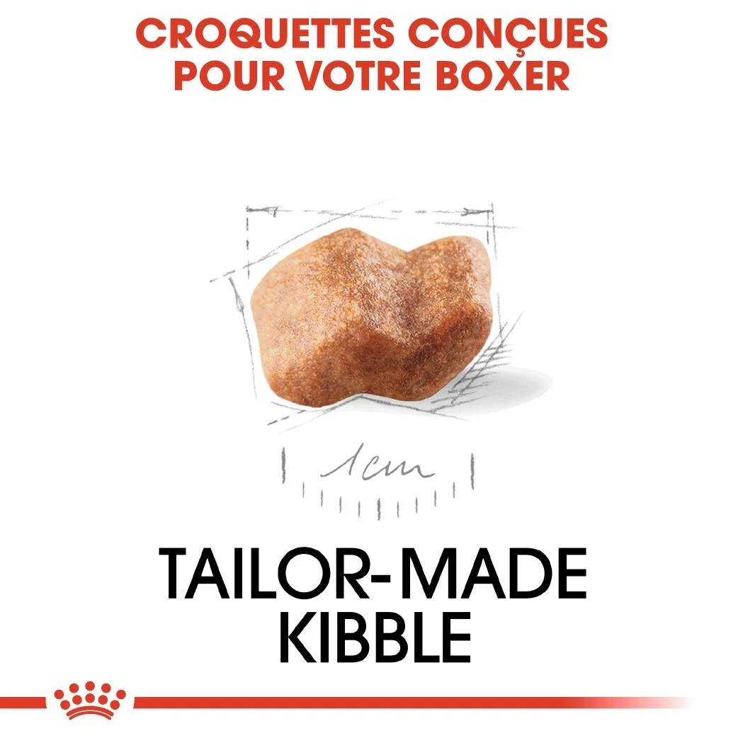 Royal Canin Boxer Puppy - Croquettes Pour Chiot – Image 5
