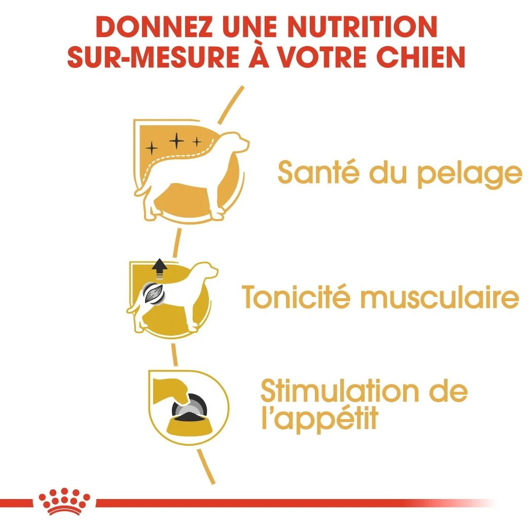 Royal Canin Caniche (Poodle) - Pâtée Pour Chien – Image 4