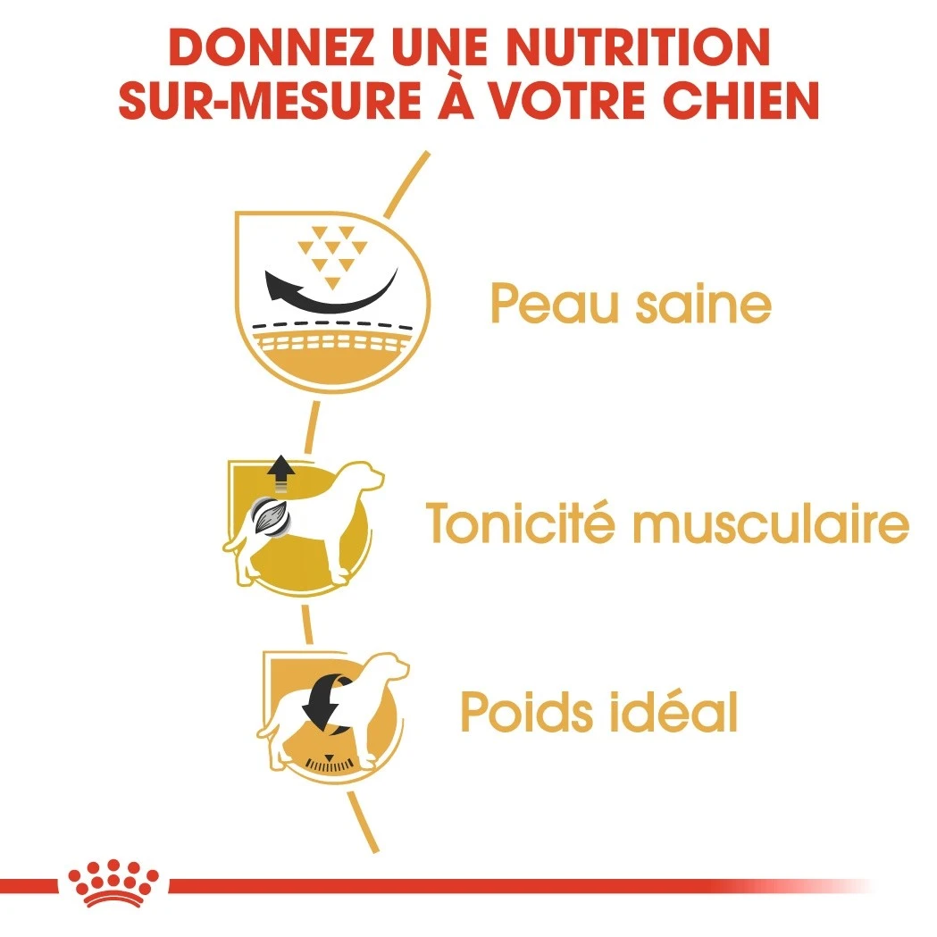 Royal Canin Carlin Adult (Pug) - Croquettes Pour Chien – Image 3