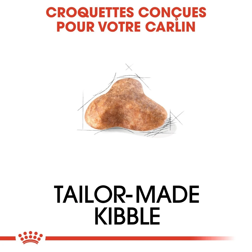 Royal Canin Carlin Adult (Pug) - Croquettes Pour Chien – Image 4