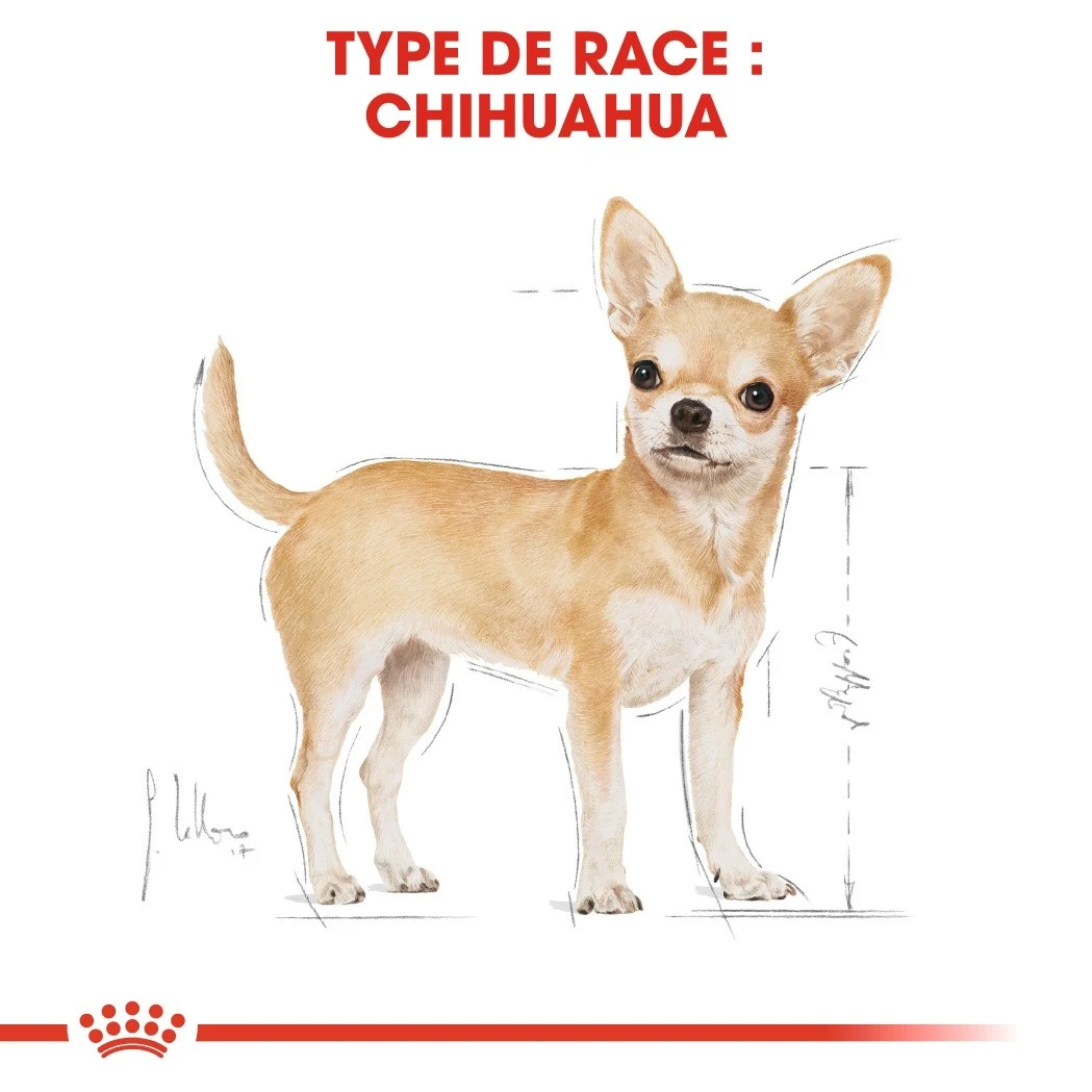 Royal Canin Chihuahua - Pâtée Pour Chien – Image 2