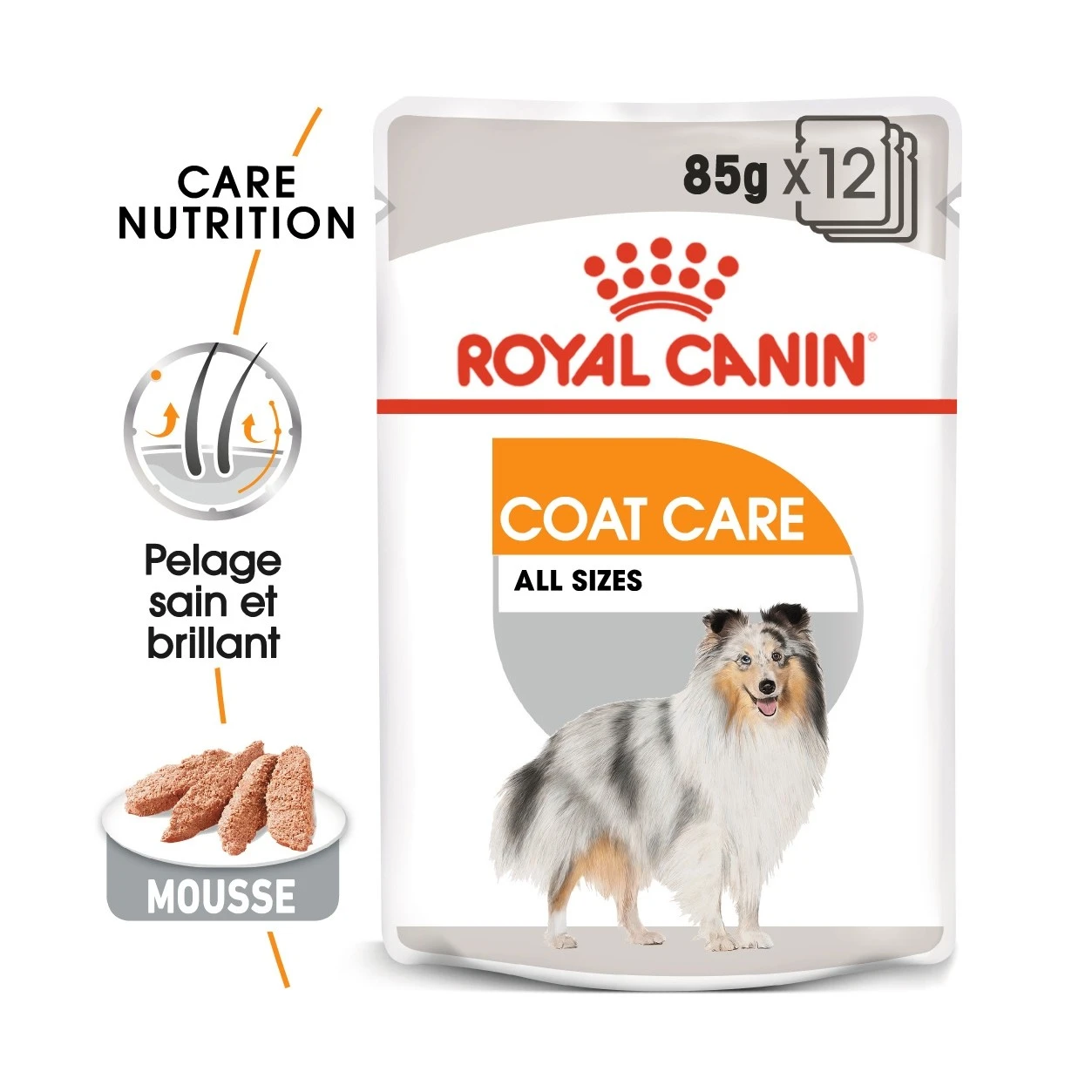 Royal Canin Coat Care - Pâtée Pour Chien – Image 3
