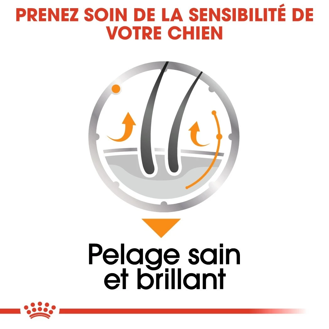 Royal Canin Coat Care - Pâtée Pour Chien – Image 4