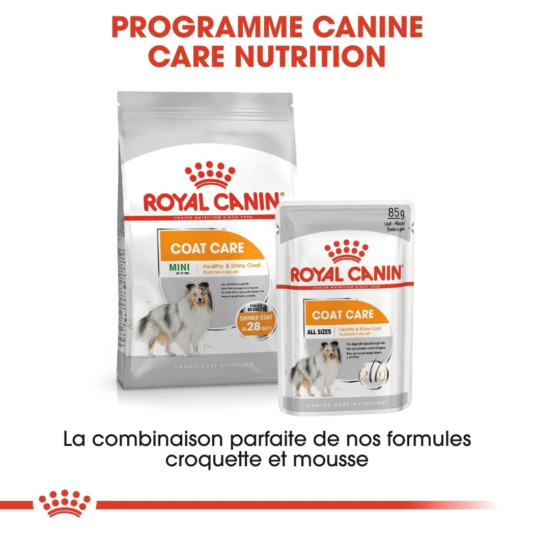 Royal Canin Coat Care - Pâtée Pour Chien – Image 8