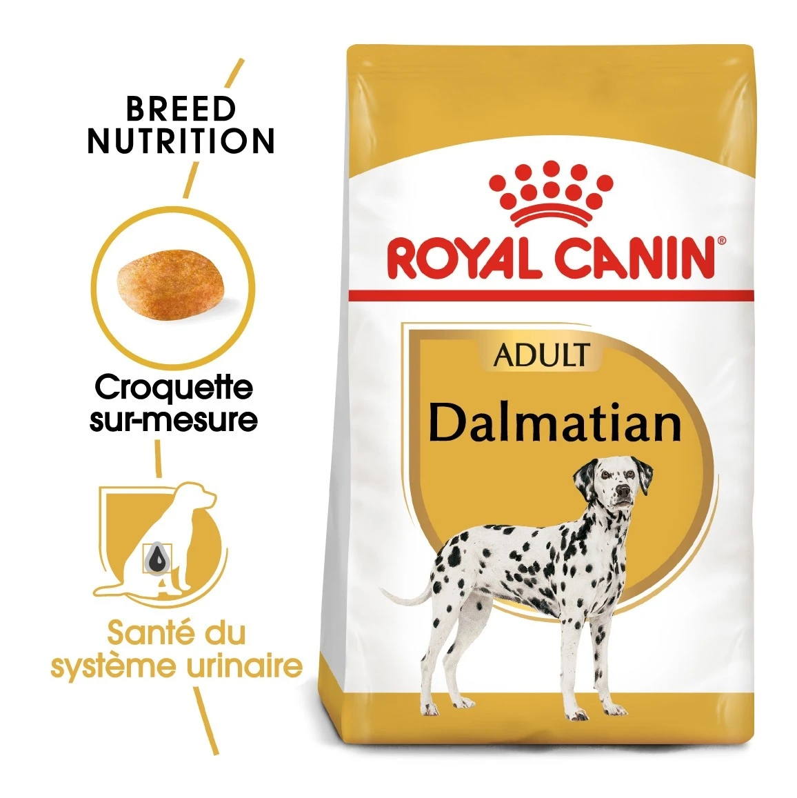 Royal Canin Dalmatien Adult – Image 2