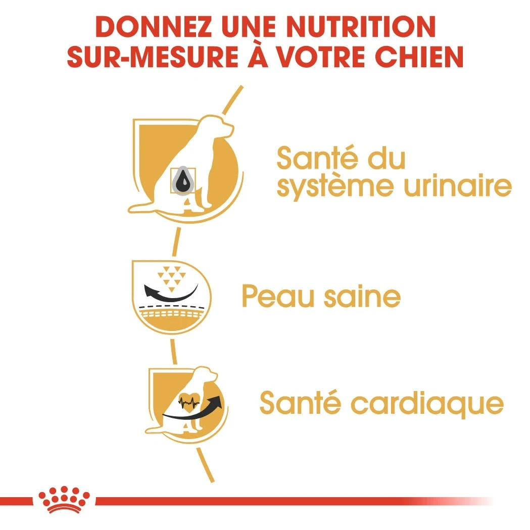 Royal Canin Dalmatien Adult – Image 3