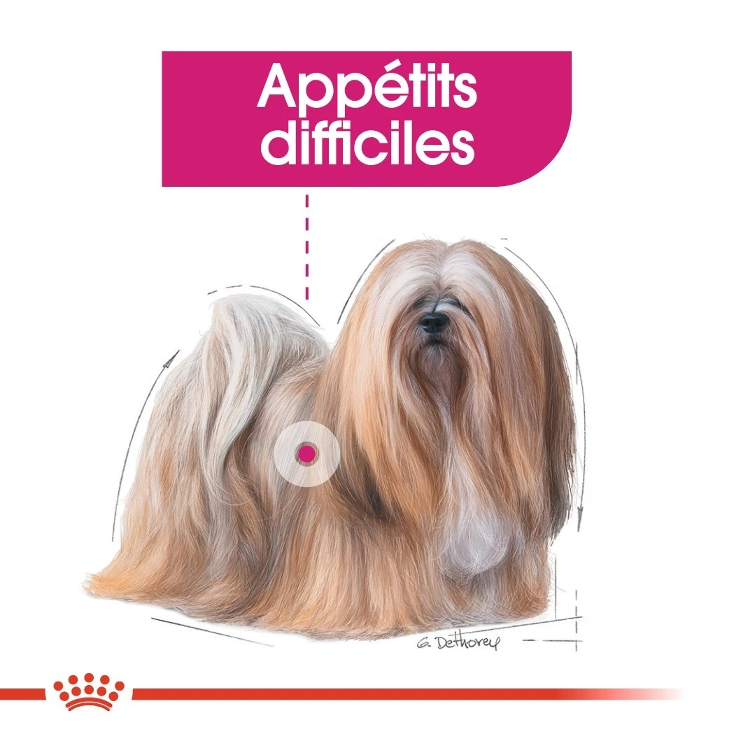 Royal Canin Exigent - Pâtée Pour Chien – Image 2