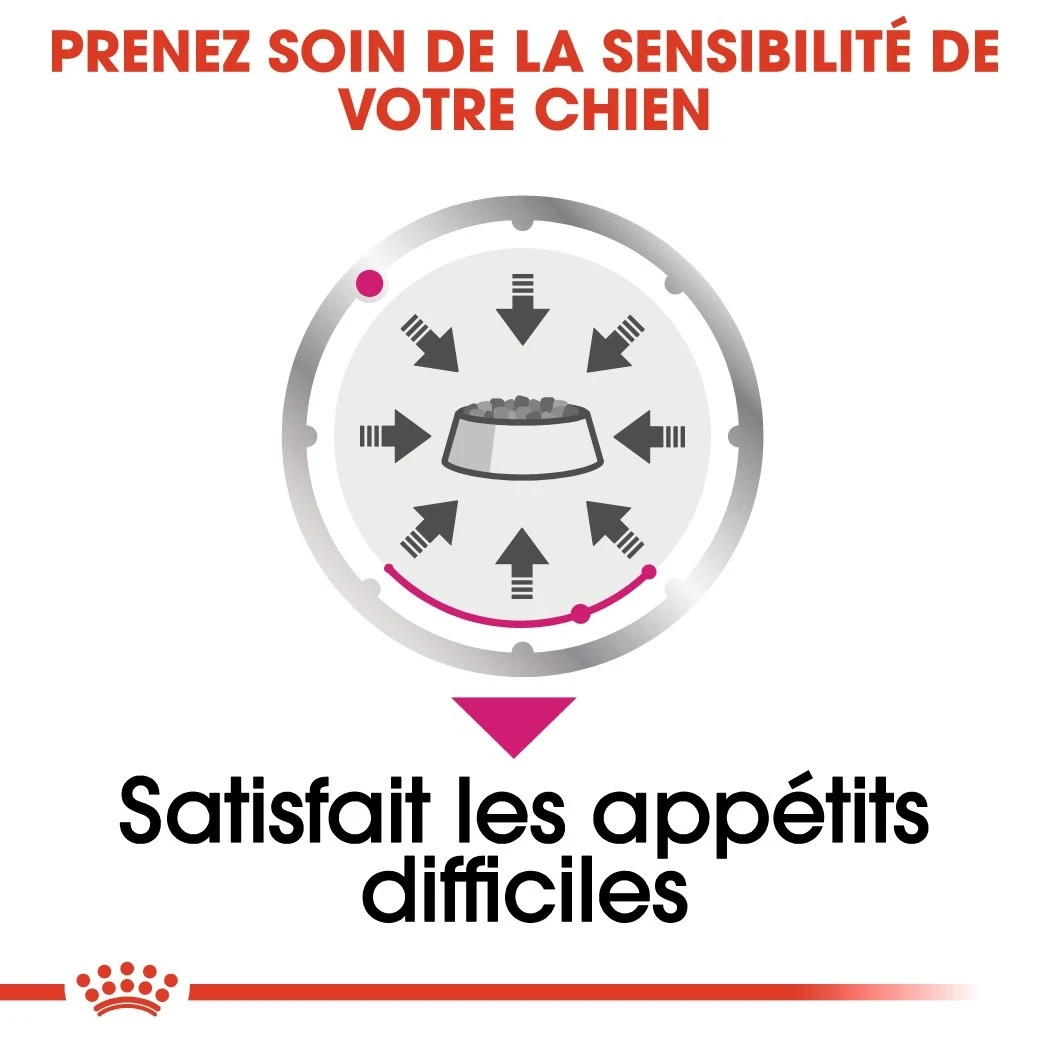 Royal Canin Exigent - Pâtée Pour Chien – Image 4
