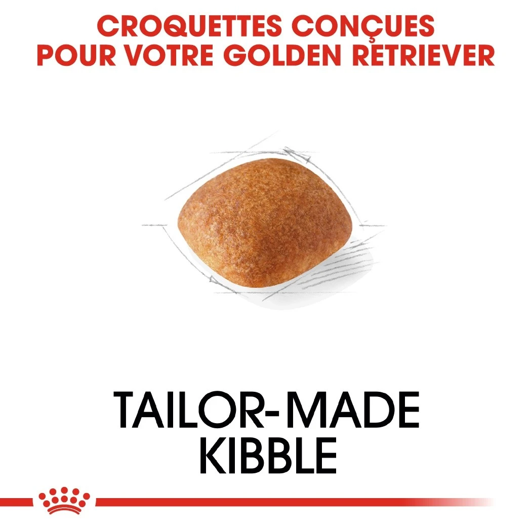 Royal Canin Golden Retriever Adult - Croquettes Pour Chien – Image 4