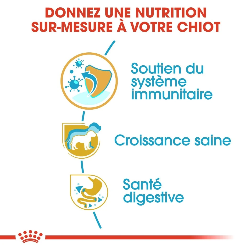 Royal Canin Jack Russell Puppy - Croquettes Pour Chiot – Image 3