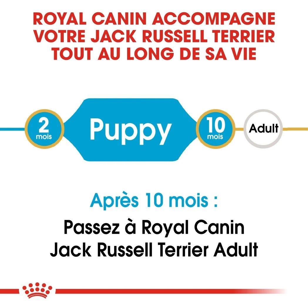 Royal Canin Jack Russell Puppy - Croquettes Pour Chiot – Image 4