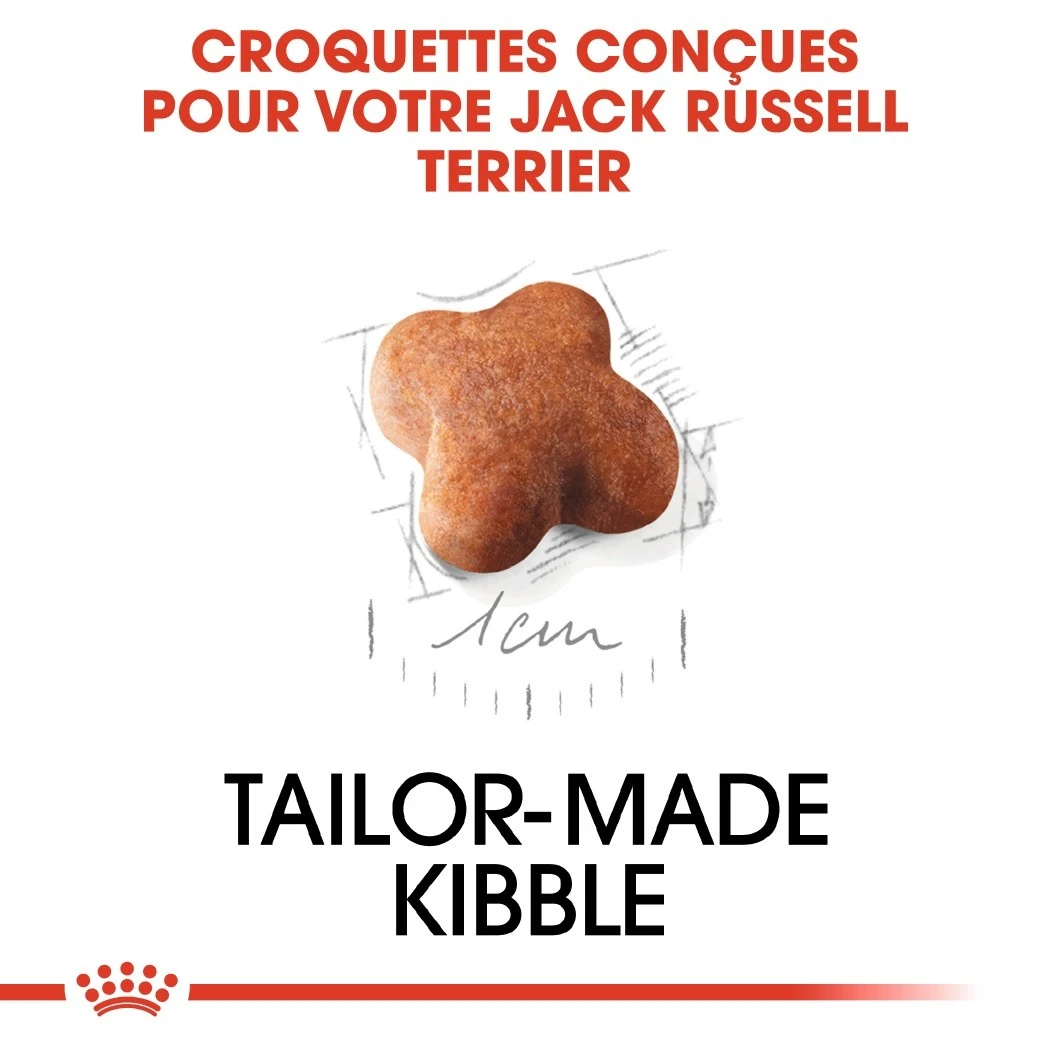 Royal Canin Jack Russell Puppy - Croquettes Pour Chiot – Image 5