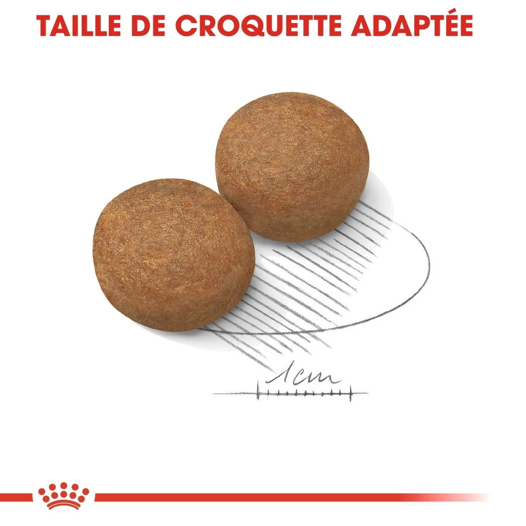 Royal Canin Maxi Adult - Croquettes Pour Chien – Image 4