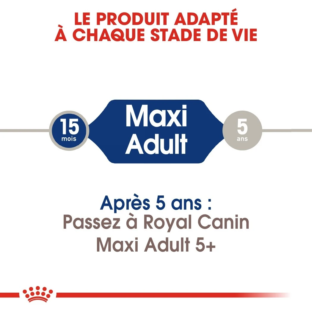 Royal Canin Maxi Adult - Croquettes Pour Chien – Image 5