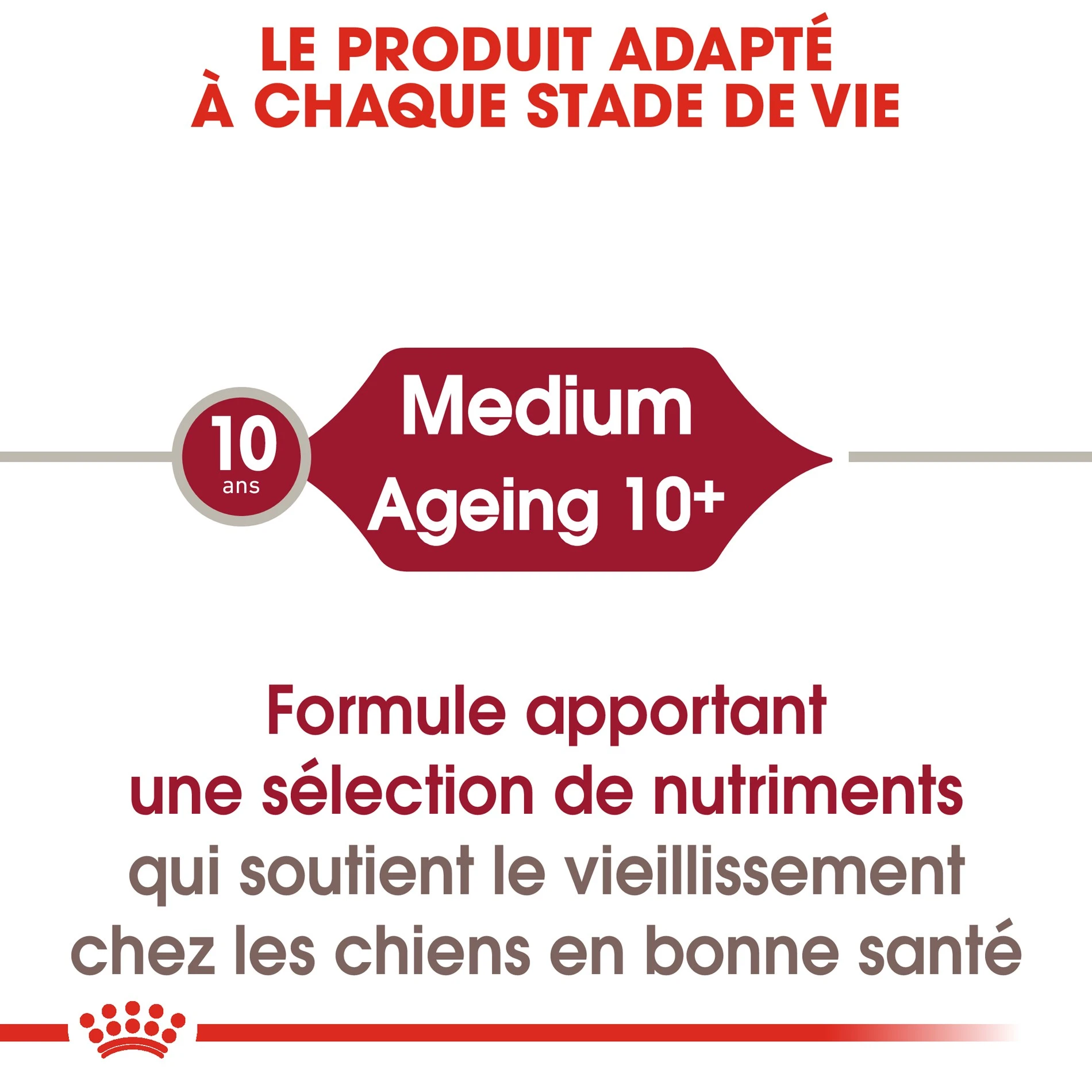 ROYAL CANIN Medium Ageing 10+ En Sauce - Pâtée Pour Chien – Image 3
