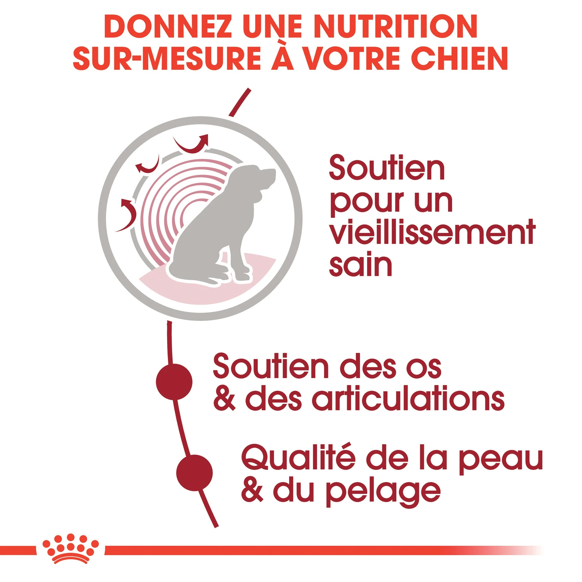 ROYAL CANIN Medium Ageing 10+ En Sauce - Pâtée Pour Chien – Image 4