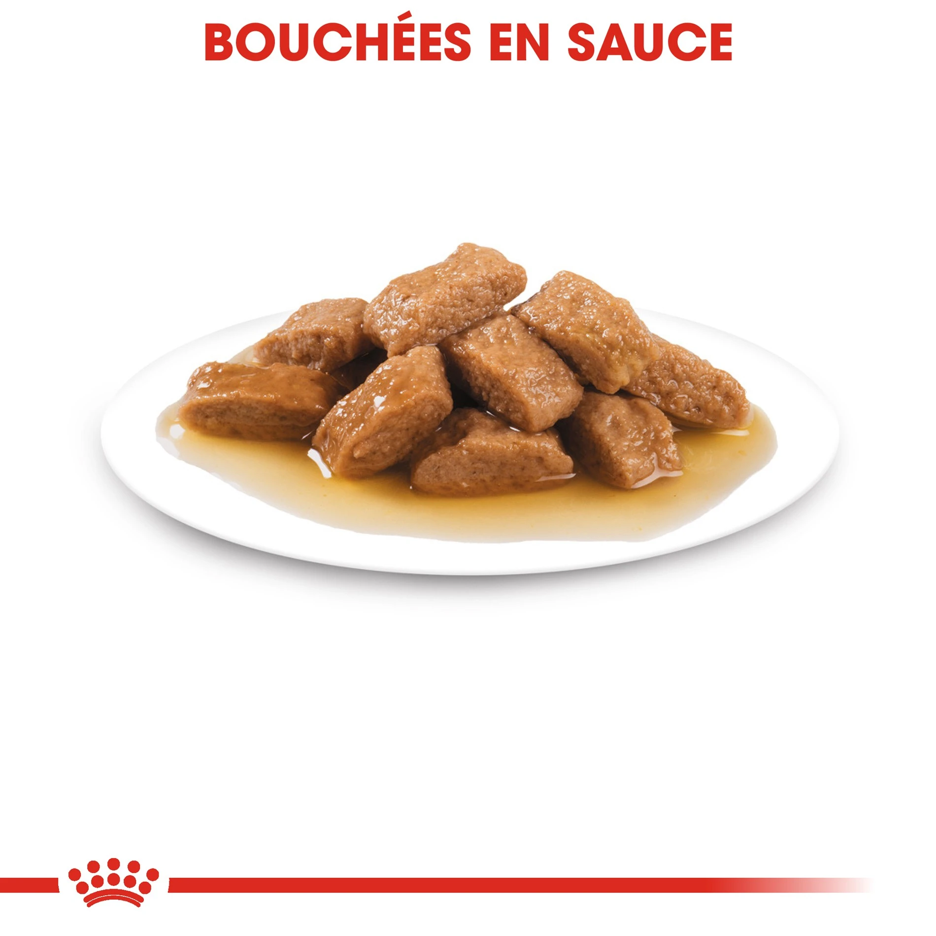 ROYAL CANIN Medium Ageing 10+ En Sauce - Pâtée Pour Chien – Image 5