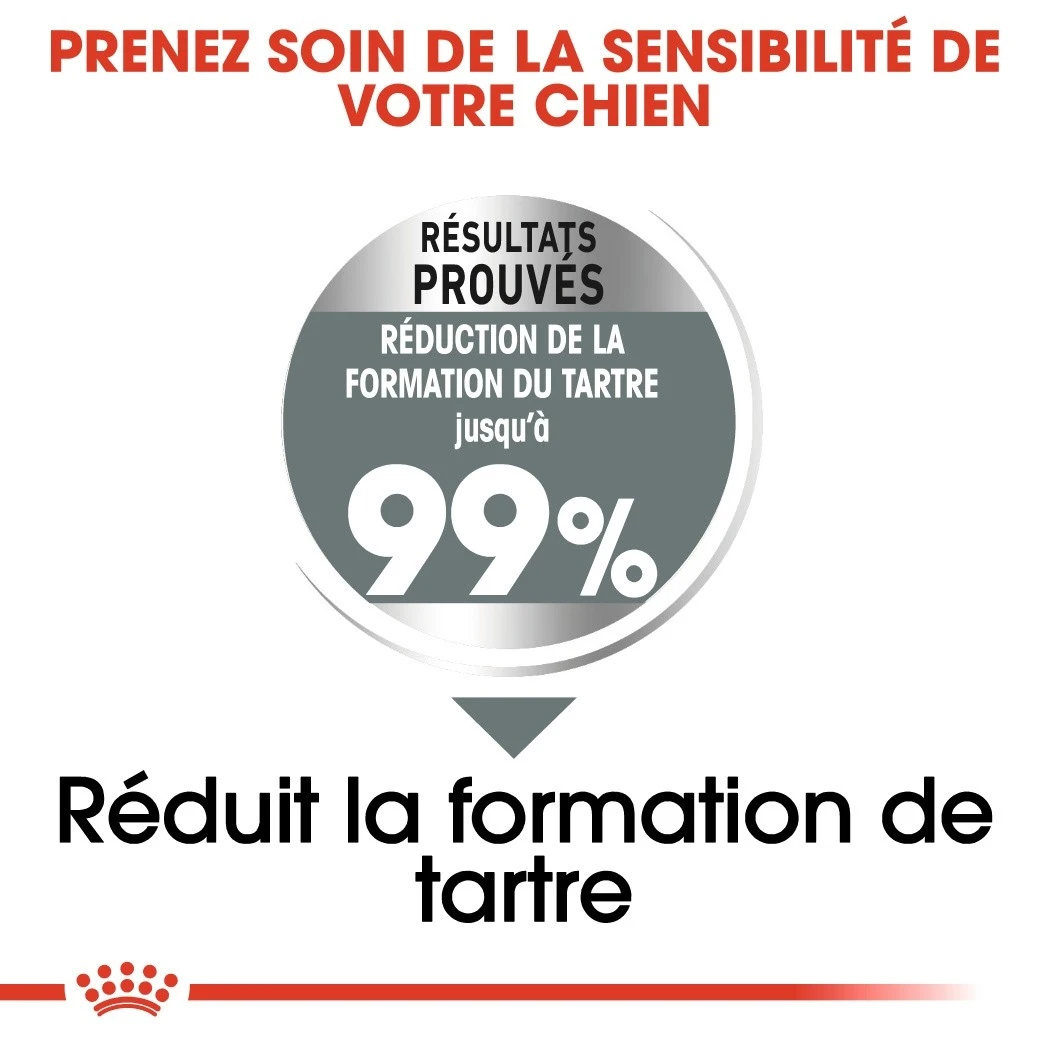 Royal Canin Medium Dental Care - Croquettes Pour Chien – Image 3