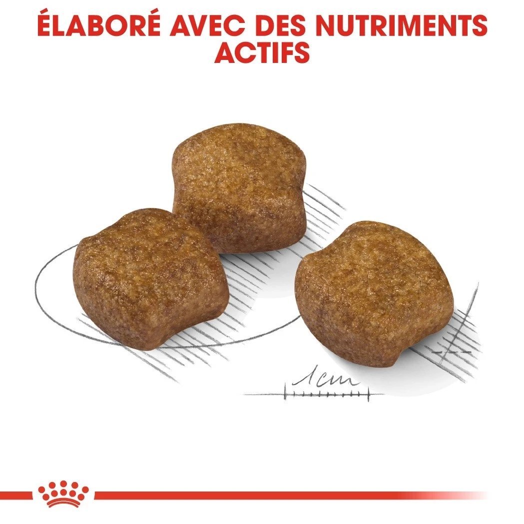 Royal Canin Medium Dental Care - Croquettes Pour Chien – Image 4