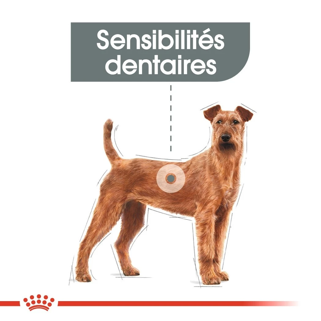 Royal Canin Medium Dental Care - Croquettes Pour Chien – Image 5