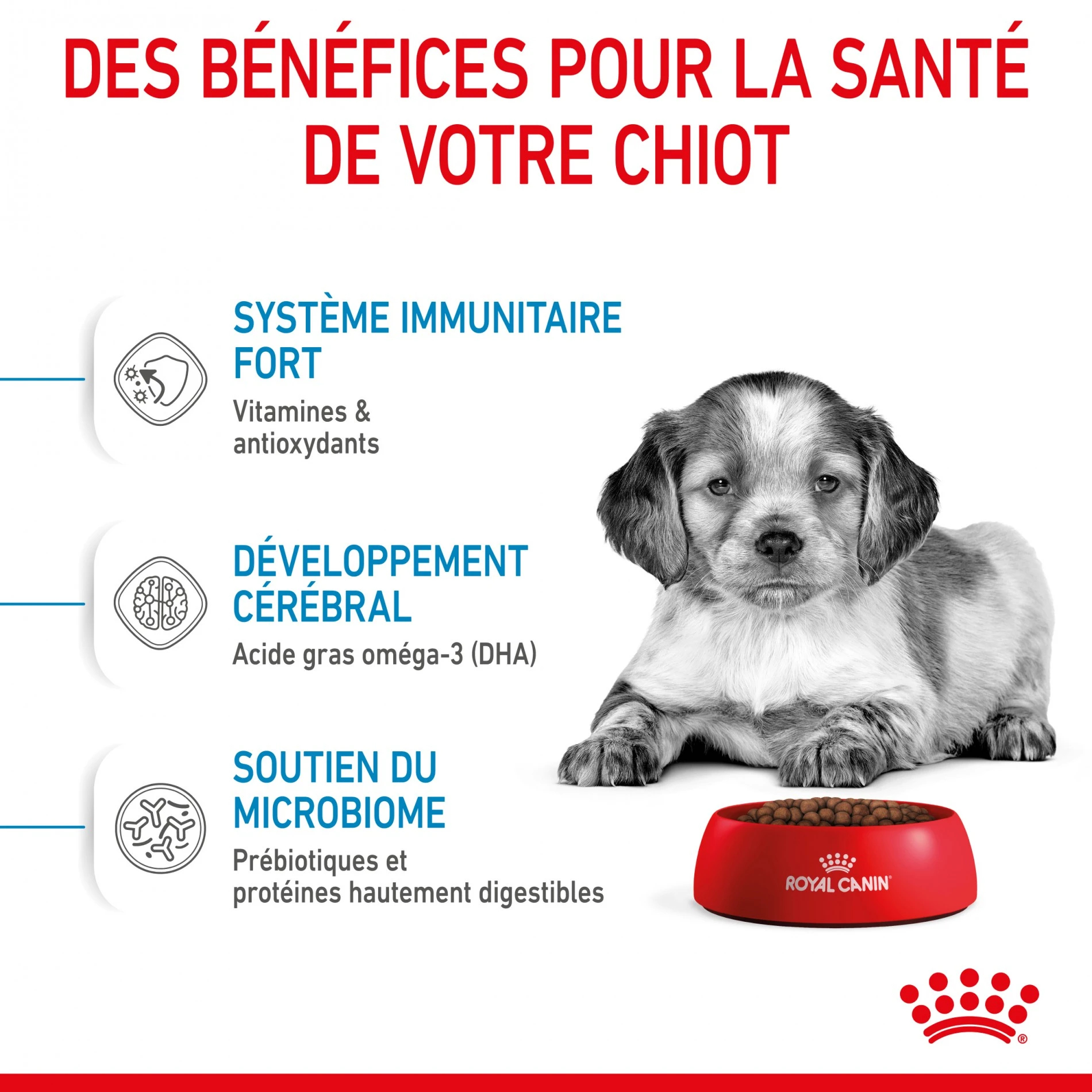 Royal Canin Medium Puppy - Croquettes Pour Chiot – Image 5