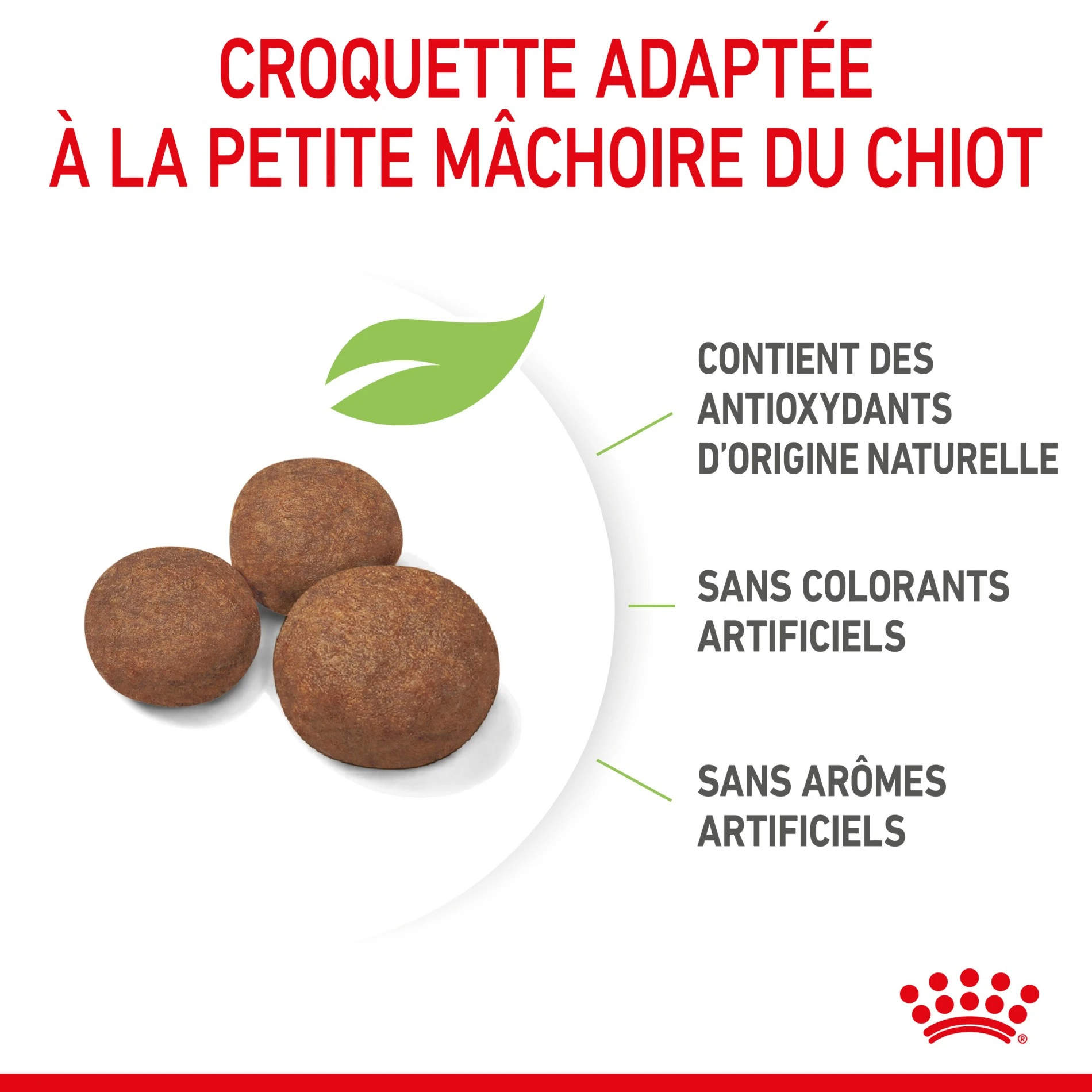 Royal Canin Medium Puppy - Croquettes Pour Chiot – Image 6