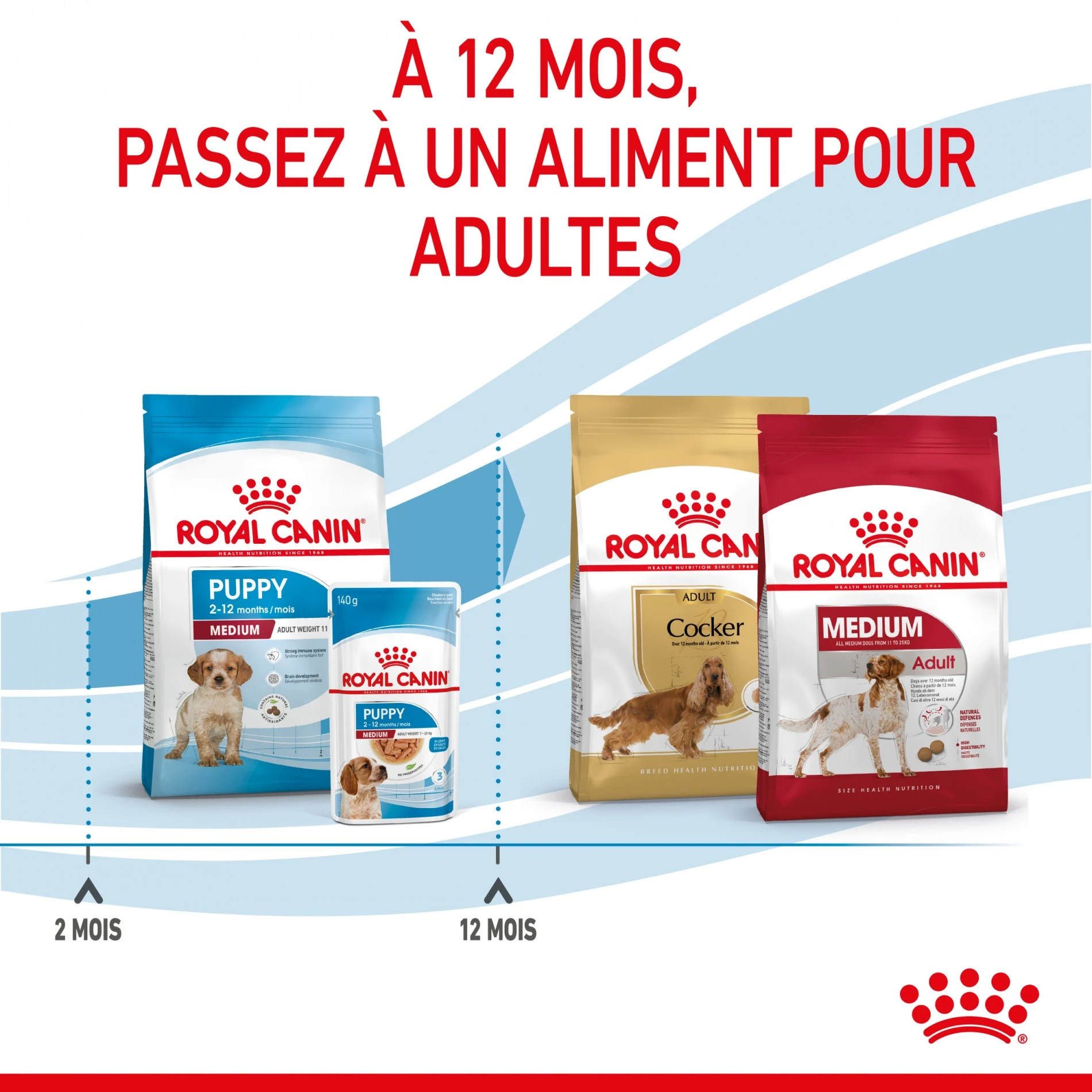 Royal Canin Medium Puppy - Croquettes Pour Chiot – Image 7