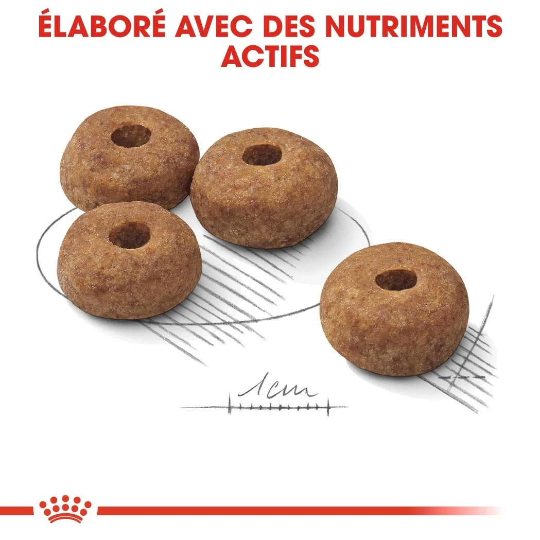 Royal Canin Medium Sterilised - Croquettes Pour Chien – Image 4