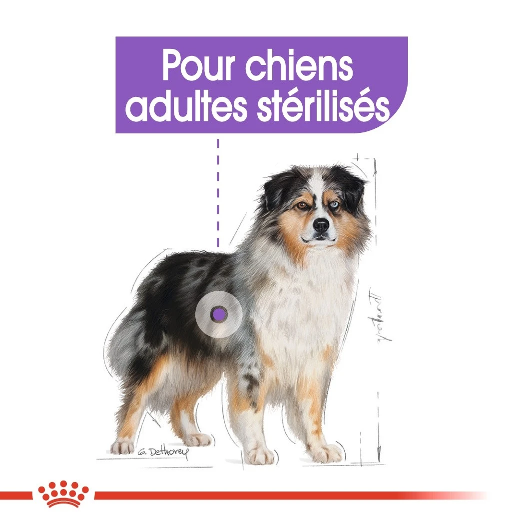 Royal Canin Medium Sterilised - Croquettes Pour Chien – Image 6