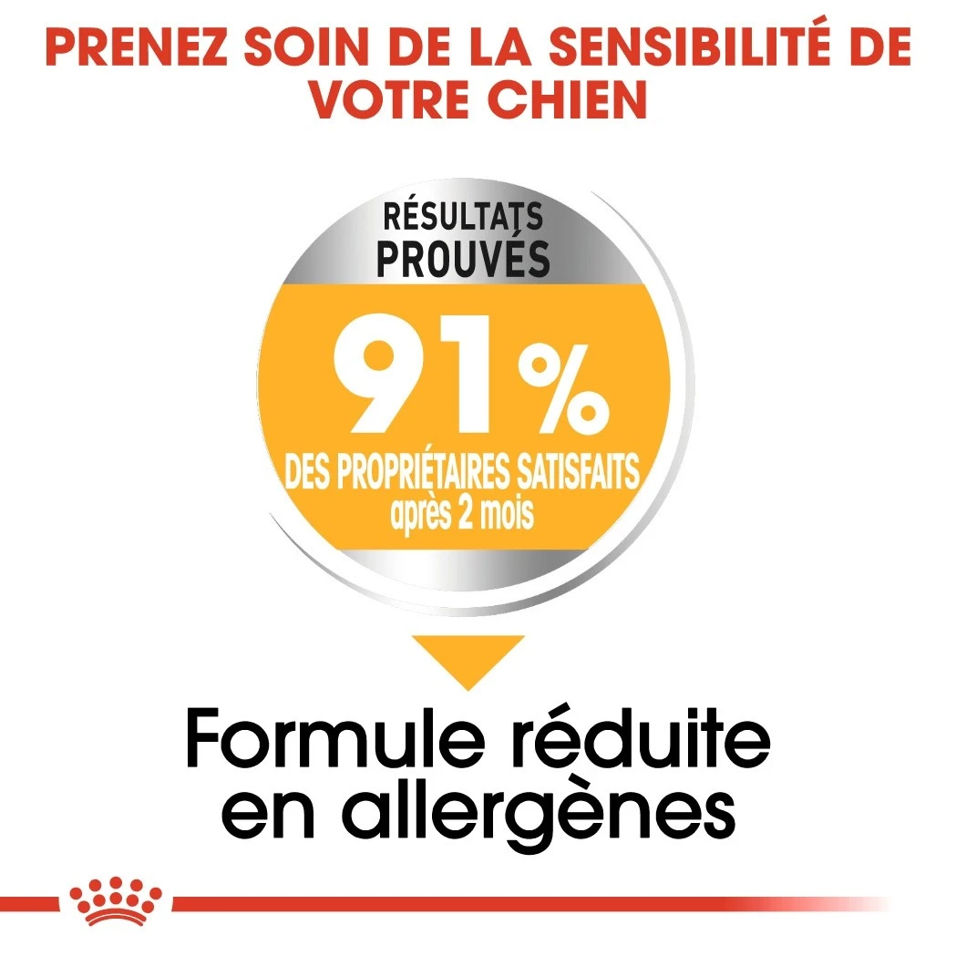 Royal Canin Mini Dermaconfort - Croquettes Pour Chien – Image 3