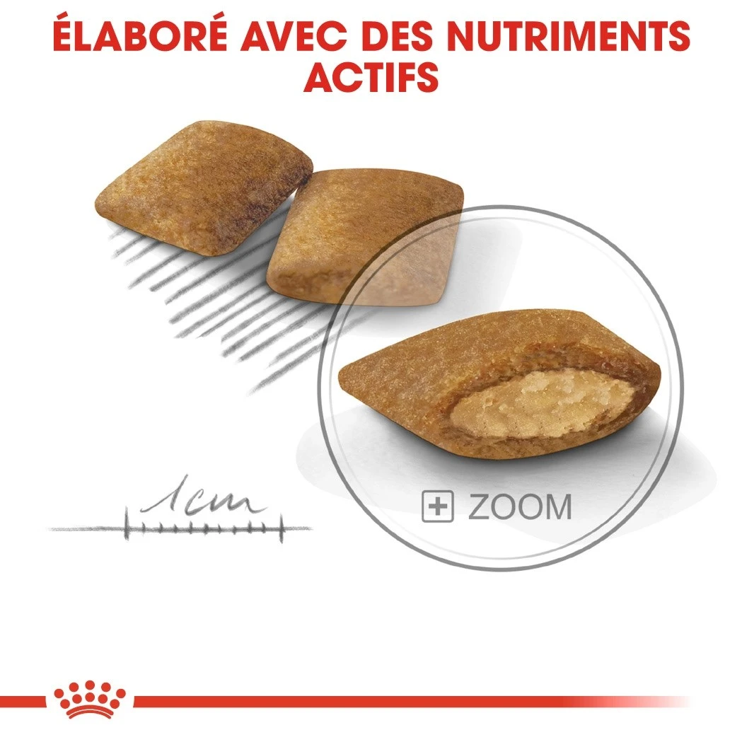 Royal Canin Mini Exigent – Image 4