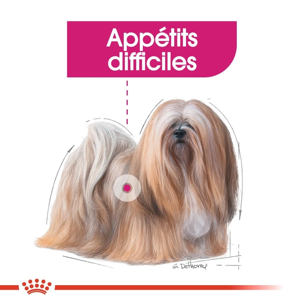 Royal Canin Mini Exigent – Image 6