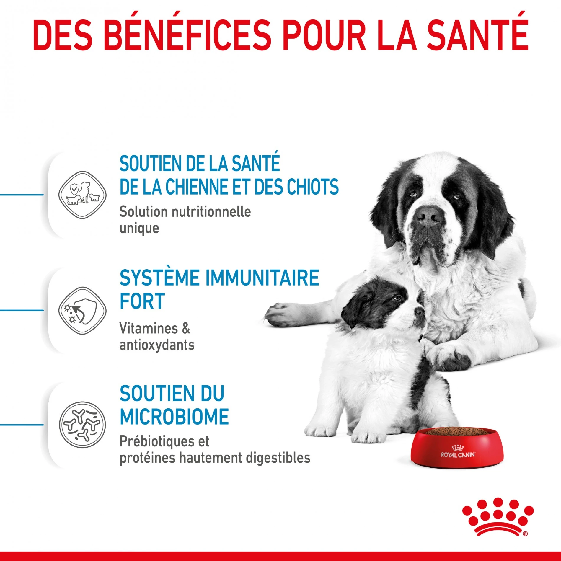 ROYAL CANIN Size Nutrition – Image 5