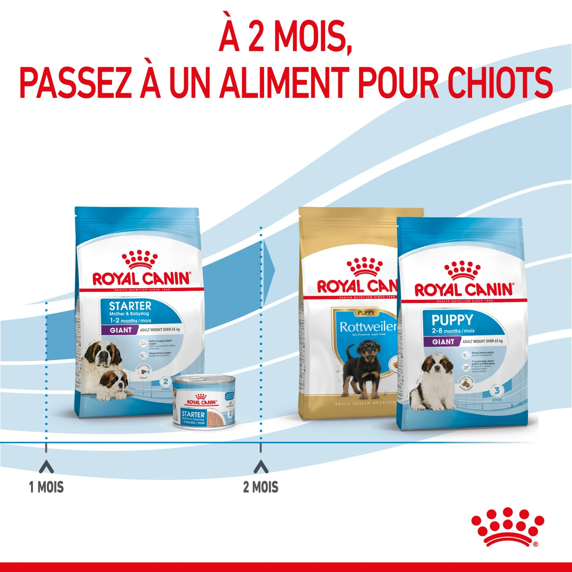 ROYAL CANIN Size Nutrition – Image 7