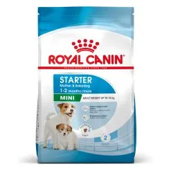 ROYAL CANIN Starter Mini Mother & Babydog - Croquettes Pour Chiot