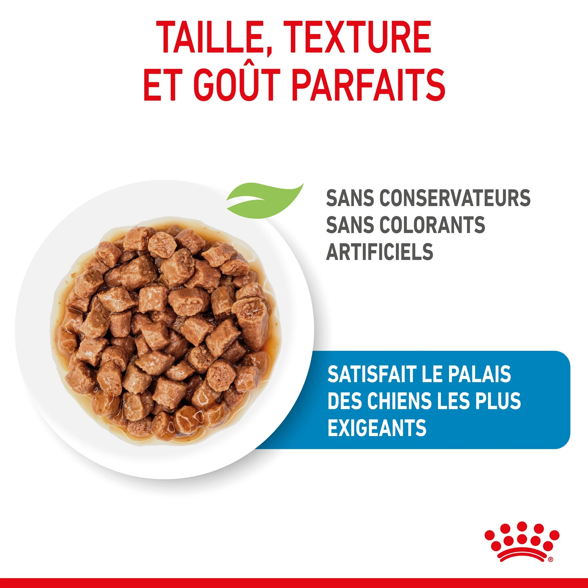 ROYAL CANIN X-Small Puppy En Sauce - Pâtée Pour Chiot – Image 4