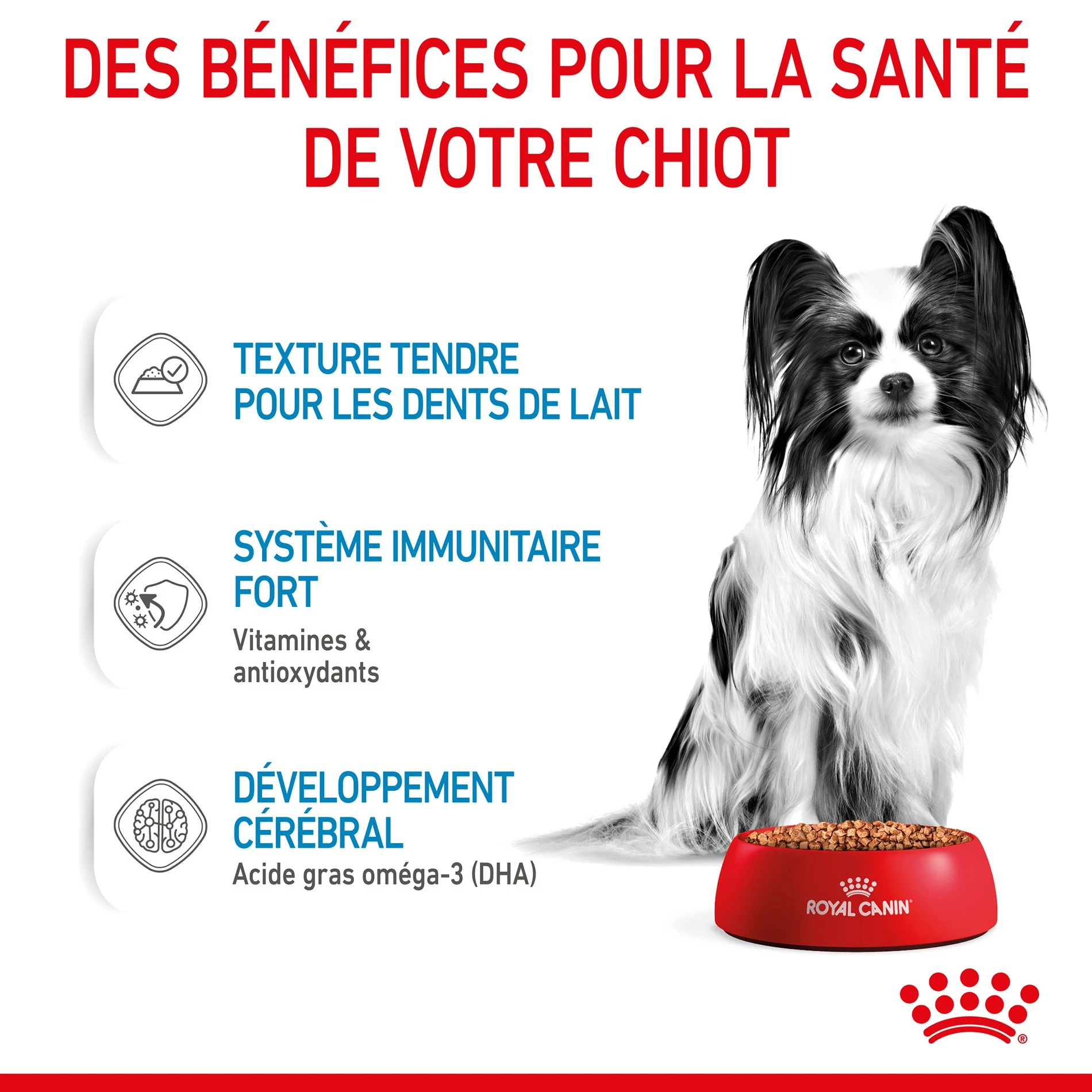 ROYAL CANIN X-Small Puppy En Sauce - Pâtée Pour Chiot – Image 5