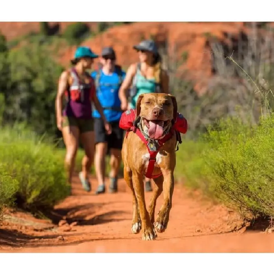 Ruffwear Singletrak Pack Sac Hydratation Rouge M – Image 5