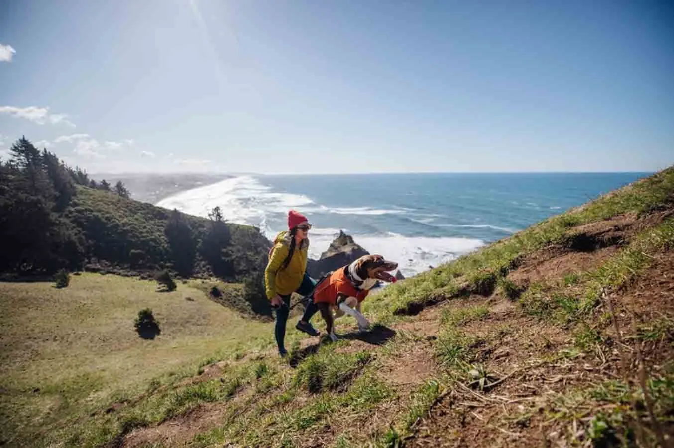 Ruffwear Overcoat Fuse Harness Jacket Orange M – Image 9